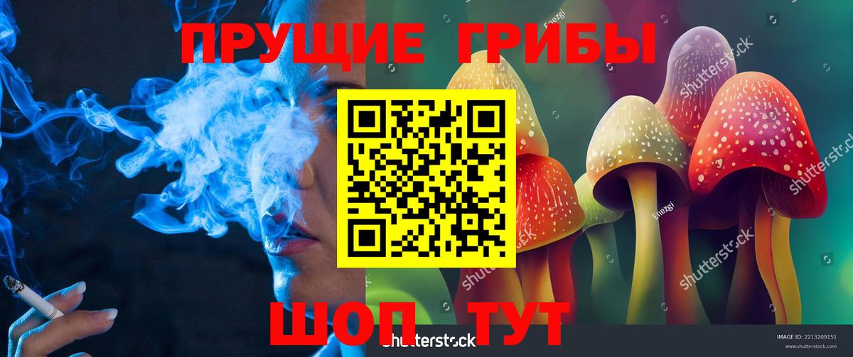 Псилоцибиновые грибы Cubensis  Вход с VPN  Галлюциногенные грибы мухоморы  Биробиджан 